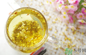 月經(jīng)期能喝桂花茶嗎？經(jīng)期能喝桂花茶嗎？