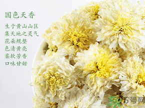 菊花茶可以放冰箱嗎？菊花茶能放冰箱冷凍嗎？