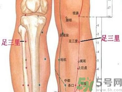 艾灸足三里有什么好處？艾灸足三里的功效