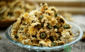 干菊花長(zhǎng)蟲(chóng)怎么辦？干菊花長(zhǎng)蟲(chóng)還能喝嗎？