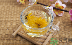 菊花茶可以天天喝嗎？菊花茶喝多了會(huì)怎么樣？