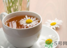 菊花茶可以天天喝嗎？菊花茶喝多了會(huì)怎么樣？