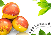 冬棗洗了可以放冰箱嗎？冬棗放冰箱好還是不放冰箱好？