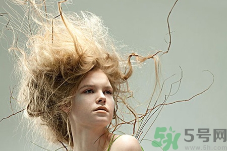 頭發(fā)愛靜電和枕頭套有關系嗎？秋冬用什么材質(zhì)的枕頭比較好？