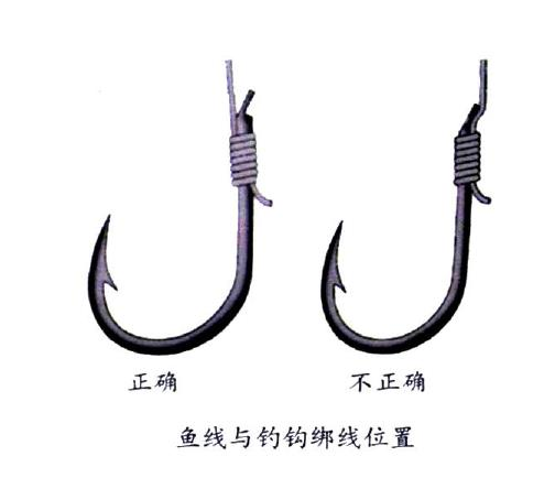 釣鯉魚用幾號(hào)鉤？釣鯉魚用什么鉤？