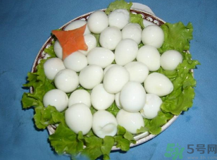 鴿子蛋怎么煮不會(huì)破裂？鴿子蛋怎么煮不會(huì)破？