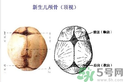 寶寶頭上的鹵門(mén)在哪里?寶寶頭上的鹵門(mén)能摸嗎?