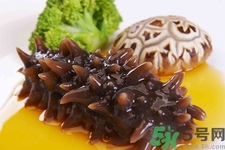 吃海參會(huì)上火嗎？經(jīng)常吃海參會(huì)上火嗎？