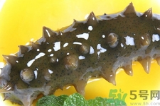 新鮮海參怎么吃最有營(yíng)養(yǎng)？新鮮海參生吃最有營(yíng)養(yǎng)嗎？