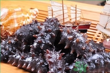 新鮮海參怎么吃最好？新鮮海參生吃最好嗎？