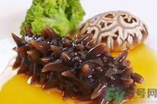小孩能吃海參嗎？四種人不適合吃海參