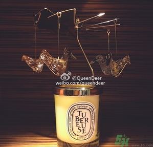 diptyque飛鳥(niǎo)燭臺(tái)多少錢(qián)？diptyque飛鳥(niǎo)燭臺(tái)哪里買(mǎi)？