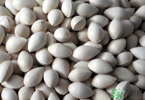 吃白果有什么好處和壞處？吃白果有什么作用？