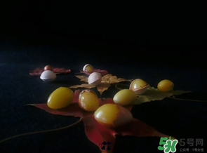 白果可以放微波爐嗎？白果放微波爐轉(zhuǎn)幾分鐘？