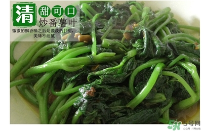 紅薯葉哺乳期可以吃嗎？紅薯葉產(chǎn)婦可以吃嗎？