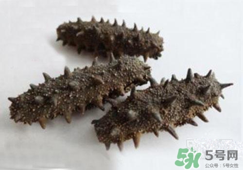 海參肚子里的筋能吃嗎？海參肚子里的筋吃了有什么作用？