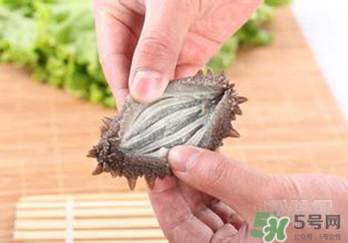 海參肚子里的筋能吃嗎？海參肚子里的筋吃了有什么作用？