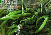 紅薯葉不能和什么一起吃？紅薯葉什么不能吃？