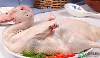 鴨肉可以放冰箱嗎？鴨肉放冰箱能保鮮多久？