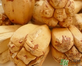 露兜果怎么吃？露兜果的功效作用