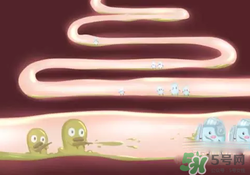 益生菌可以長(zhǎng)期吃嗎？益生菌什么時(shí)候吃比較好？
