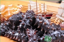 新鮮海參和干海參哪種更好？海參的品種有哪些？