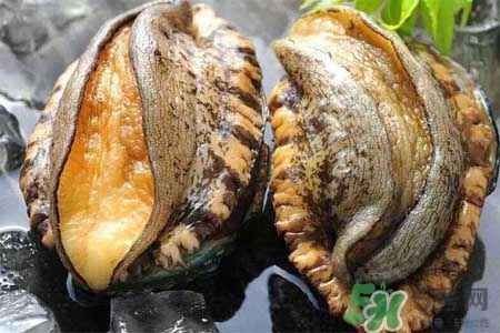 鮑魚能冷凍嗎？鮑魚可以放冰箱冷藏嗎？