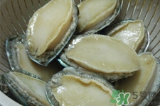 鮑魚死后可以放幾天？鮑魚死后多久不能吃？