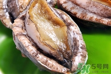 新鮮鮑魚可以放多久？活鮑魚怎樣存放時間更長？