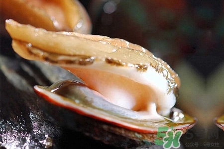 新鮮鮑魚可以放多久？活鮑魚怎樣存放時間更長？