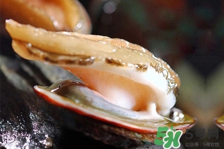 鮑魚一次最多吃幾個(gè)？鮑魚吃多了有什么不好的？