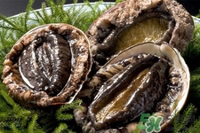吃鮑魚要注意些什么？吃鮑魚會(huì)過敏嗎？