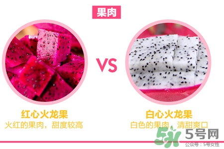 火龍果能天天吃嗎？火龍果每天都吃好嗎？