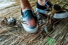 vans與acu合作款鞋子多少錢？vans與acu合作款鞋子價(jià)格