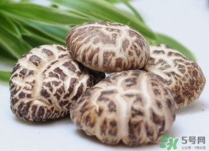 吃香菇有什么好處？吃香菇有什么壞處？