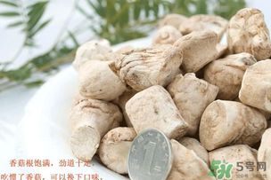 香菇根能吃嗎？香菇的根可以吃嗎？