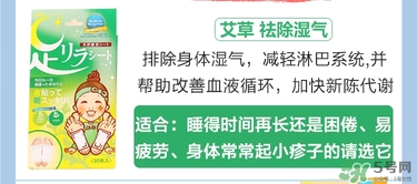 樹之惠足貼5款區(qū)別？樹之惠足貼哪款好用？