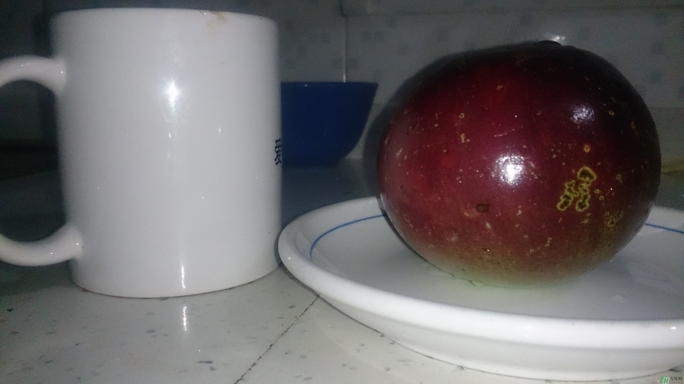 牛奶果怎么吃？牛奶果的功效與作用