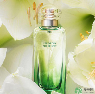 愛馬仕香水怎么看真假？愛馬仕香水真假鑒別圖
