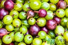 燈籠果一天吃幾個最好？燈籠果什么時候吃最好？