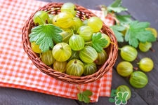 燈籠果一天吃幾個最好？燈籠果什么時候吃最好？