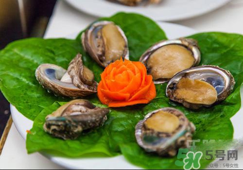 鮑魚是熱性還是涼性？鮑魚是寒性食物嗎？