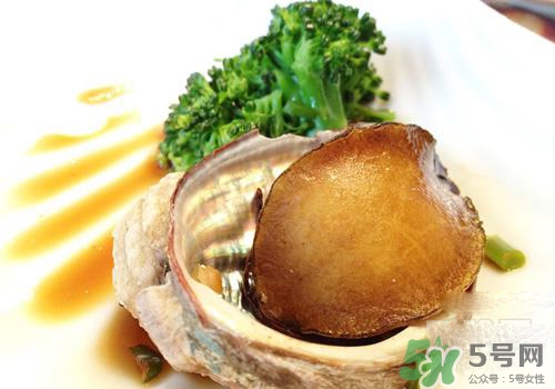 鮑魚是熱性還是涼性？鮑魚是寒性食物嗎？