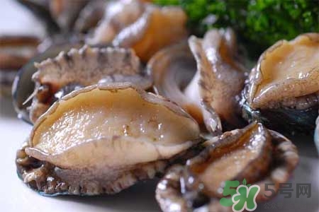寶寶能吃鮑魚嗎？寶寶多大可以吃鮑魚？
