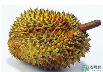 吃完牛肉可以吃榴蓮嗎？牛肉和榴蓮能一起吃嗎？