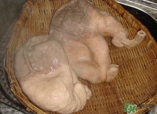 豬大腸怎么清洗？豬大腸怎么去臭味？