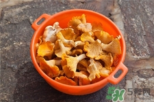 雞油菌的營(yíng)養(yǎng)價(jià)值 雞油菌的功效與作用