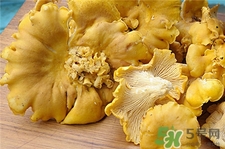雞油菌的營(yíng)養(yǎng)價(jià)值 雞油菌的功效與作用
