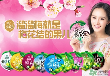 溜溜梅是梅花結(jié)的果嗎？溜溜梅的功效作用