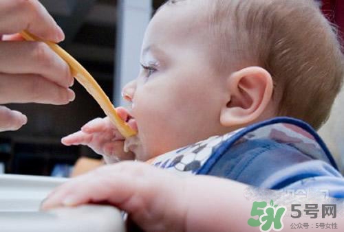 6個月的寶寶可以吃肉泥嗎？寶寶幾個月可以吃肉泥？